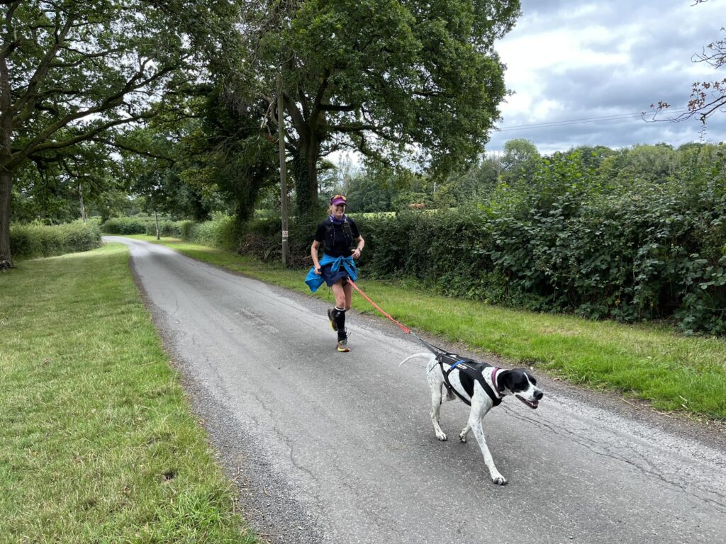 Elisabeth Scott and canine friend on her solo Horsham Round